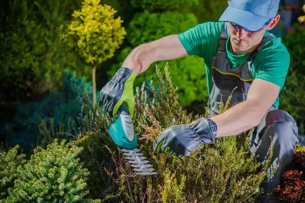 landscaping services Purcell